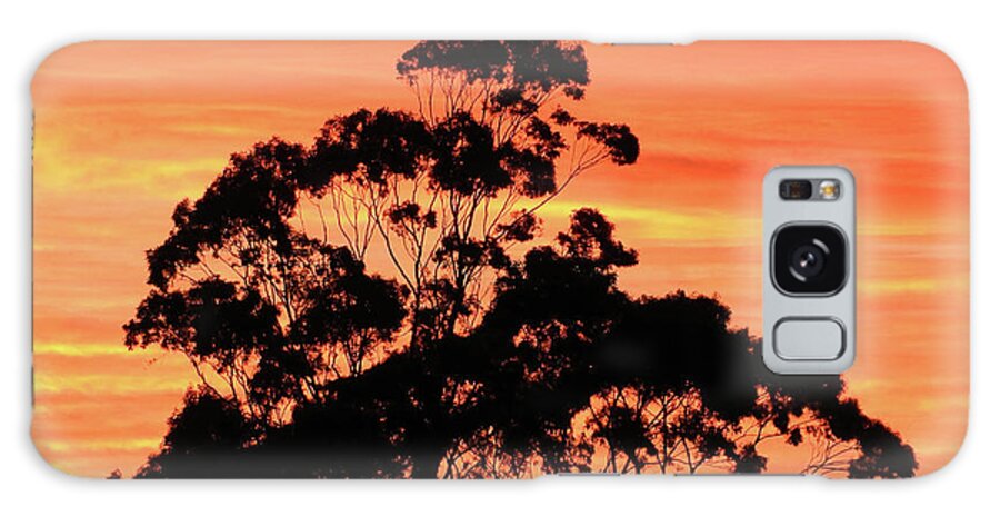 Sunrise Galaxy Case featuring the photograph Sunrise Mystery by Mark Blauhoefer