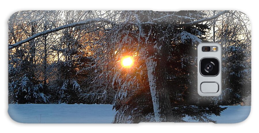 Sunrise Galaxy Case featuring the photograph Sunrise Through Branches by Kent Lorentzen