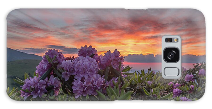 Adventure Galaxy Case featuring the photograph Sunset and Rhododendron Blooms by Kelly VanDellen