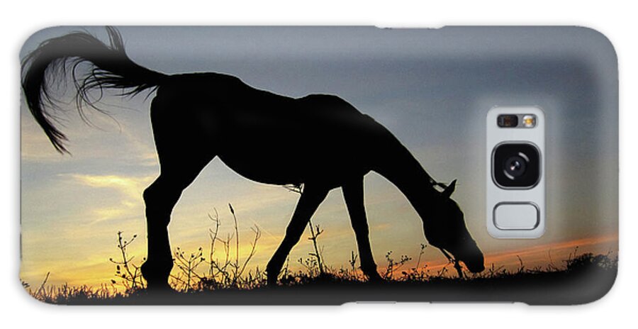 Horse Galaxy Case featuring the photograph Sunset Horse by Dimitar Hristov