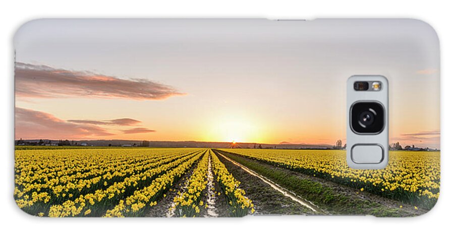 Skagit Valley Galaxy Case featuring the digital art Sunset in Skagit Valley by Michael Lee