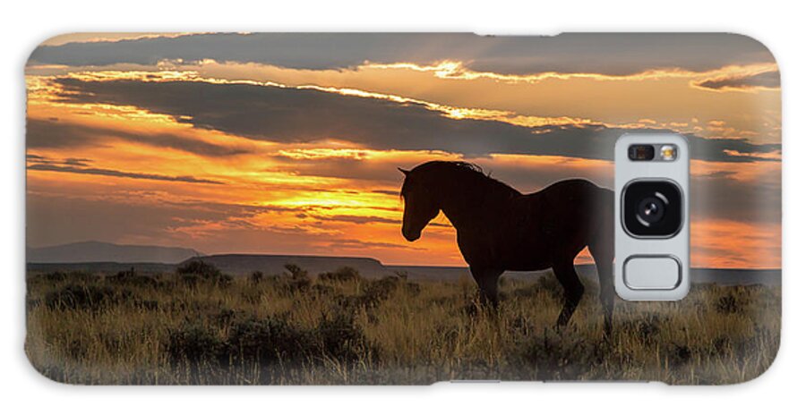 Mustang Galaxy Case featuring the photograph Sunset on the Mustang by Jack Bell