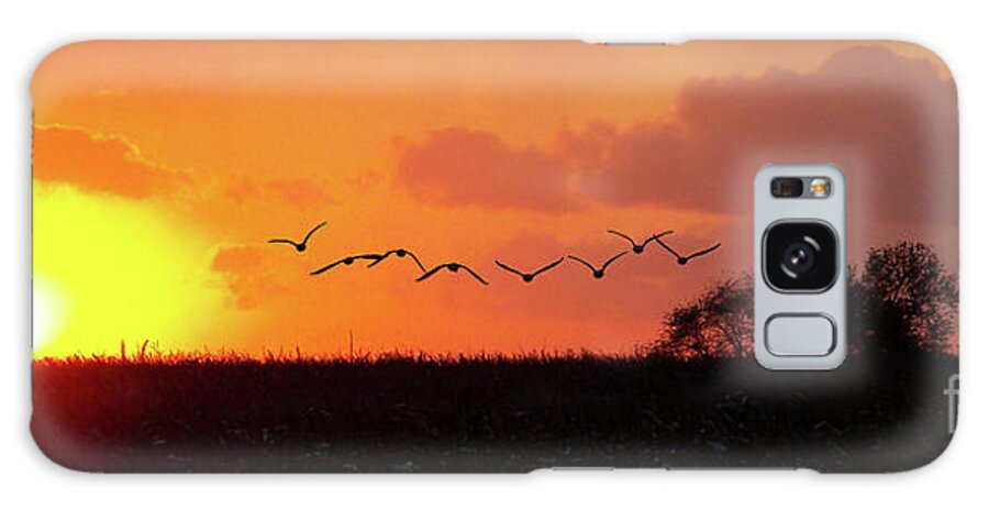 Color Photography Galaxy Case featuring the photograph Sunset Over Easy by Sue Stefanowicz