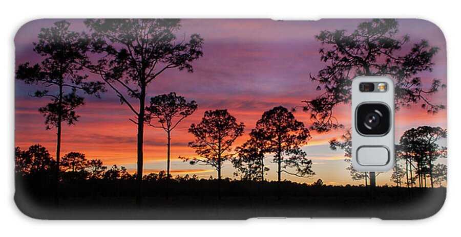 Sunset Pines Galaxy Case featuring the photograph Sunset Pines by Paul Rebmann