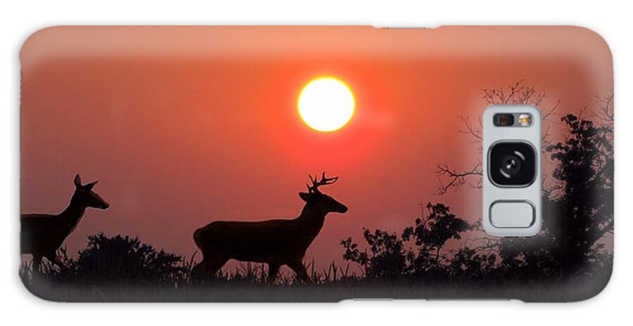 Sunset Galaxy Case featuring the photograph Sunset Silhouette by David Dehner