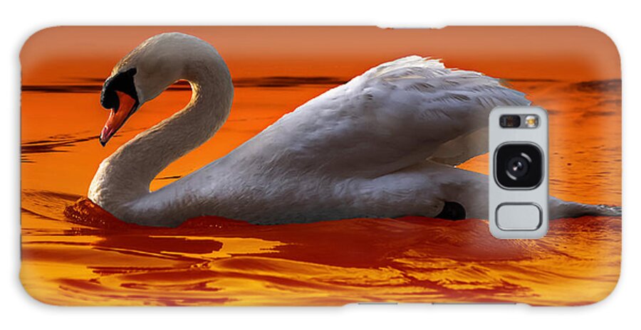 Beautiful Galaxy Case featuring the photograph Sunset Swan 3 by Brian Stevens