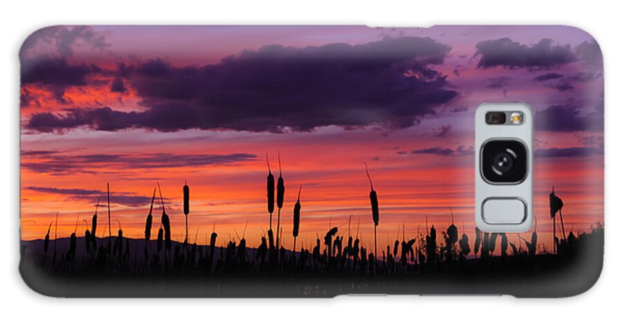  Cattails Galaxy Case featuring the photograph Sunset Through the Cattails by Amy Sorvillo