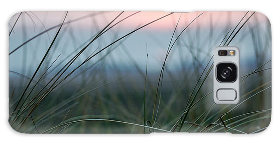 Sun Galaxy Case featuring the photograph Sunset through the marsh grass by Spikey Mouse Photography