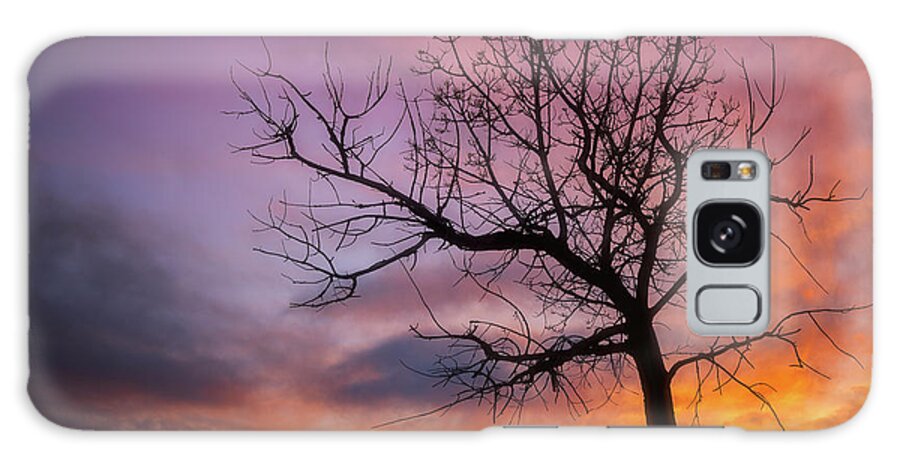 Tree Galaxy Case featuring the photograph Sunset Tree by Darren White