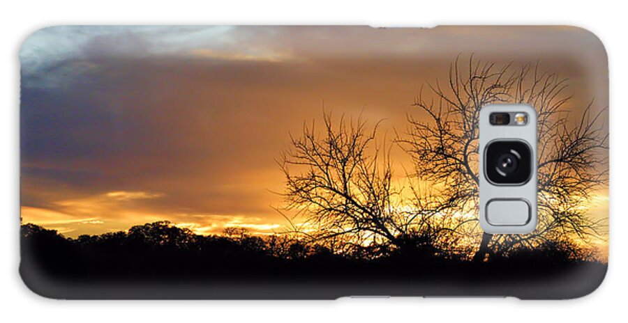 Nature Galaxy Case featuring the photograph Sunset with Tree Silhouette by Linda Phelps