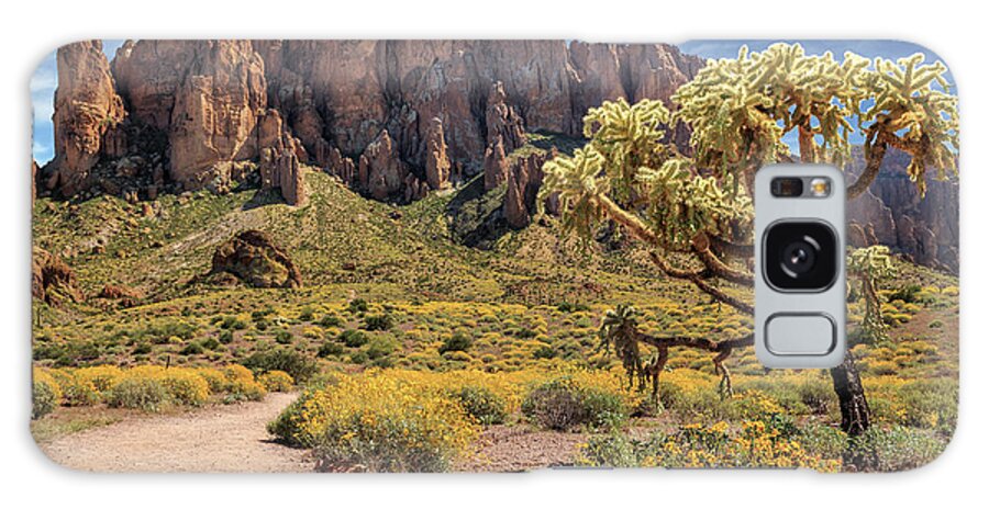 Superstition Mountains Galaxy Case featuring the photograph Superstition Mountain Cholla by James Eddy