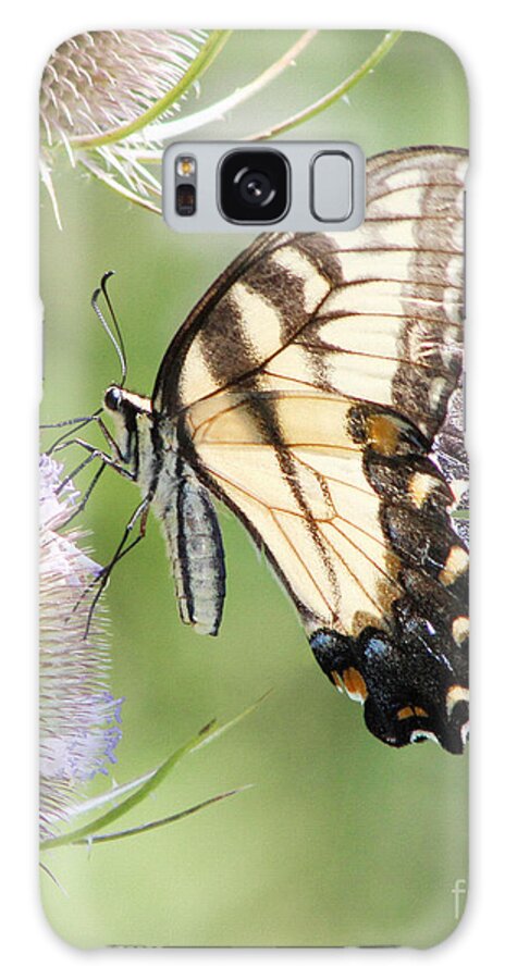 Christian Galaxy Case featuring the photograph Swallowtail Delight by Anita Oakley