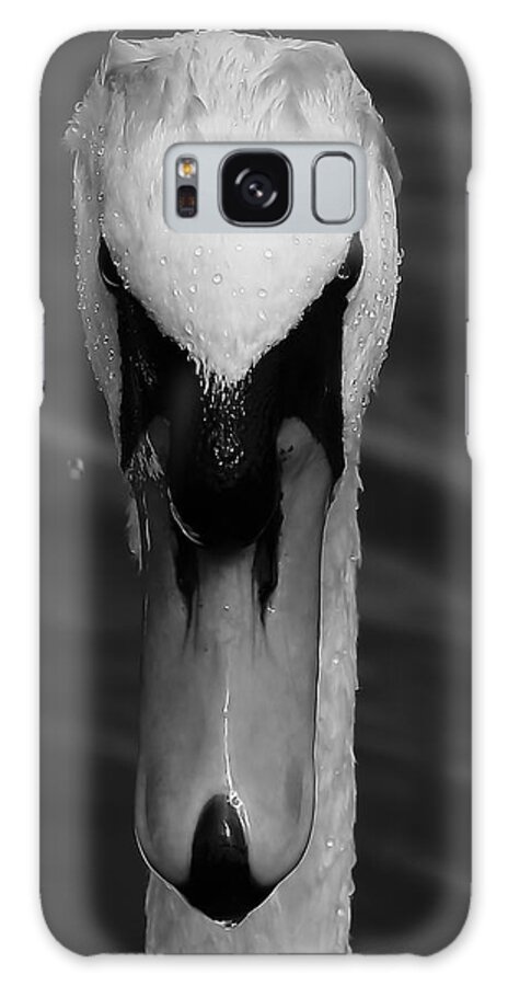 Bird Birds Mute Swan Lake Water Monochrome Water Droplets Park Middlesbrough Galaxy Case featuring the photograph Swan Monochrome by Jeff Townsend