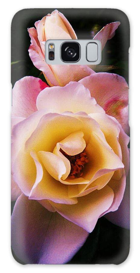 Rose Galaxy Case featuring the photograph Sweet Rose by Daniele Smith