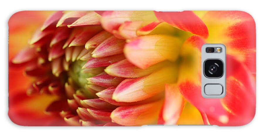 Flower Galaxy Case featuring the photograph Sweet Spring by Robert Och
