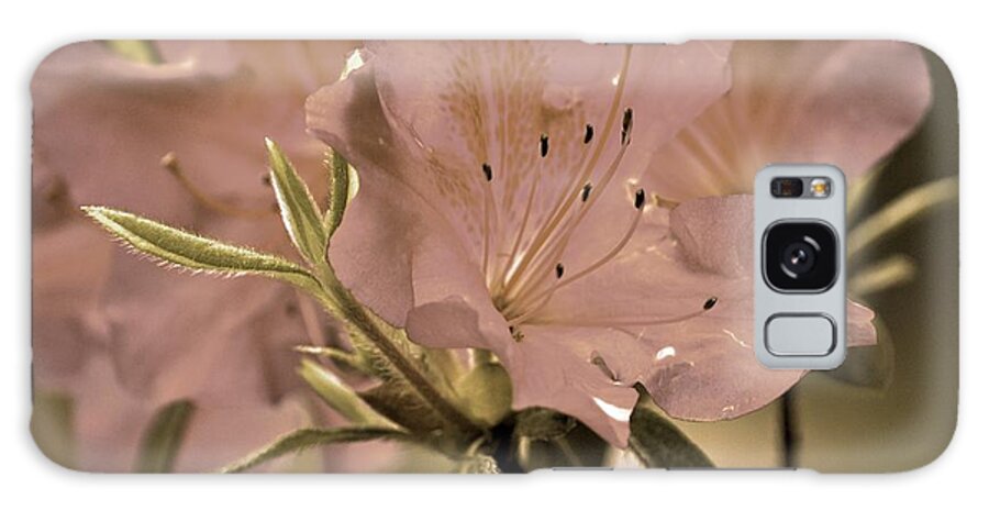 Azaleas Galaxy Case featuring the photograph Sweetness by Donna Shahan