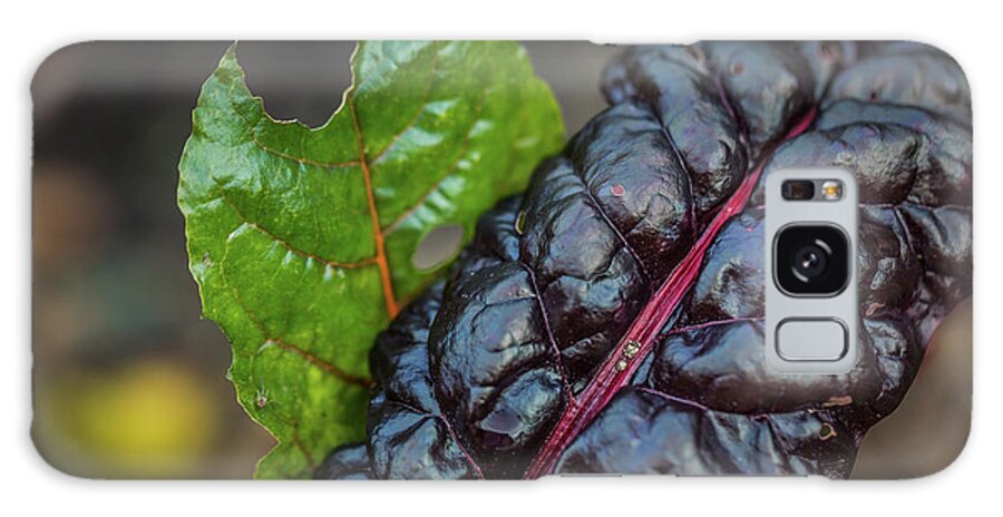 Chard Galaxy Case featuring the photograph Swiss Chard by Eva Lechner
