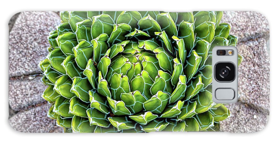 Plants Galaxy Case featuring the photograph Symmetry by Elaine Malott