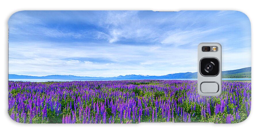 Lupines Galaxy Case featuring the photograph Tahoe Lupines by Janet Kopper