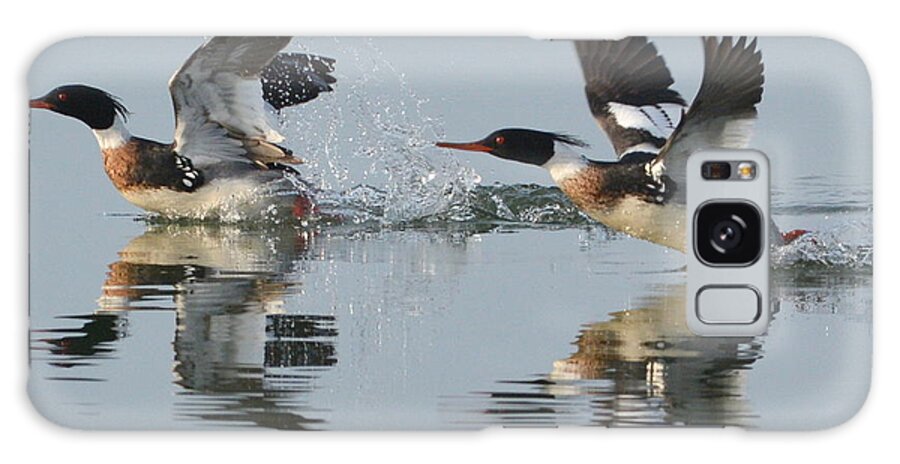 Merganser Galaxy Case featuring the photograph Takeoff by Dan Williams