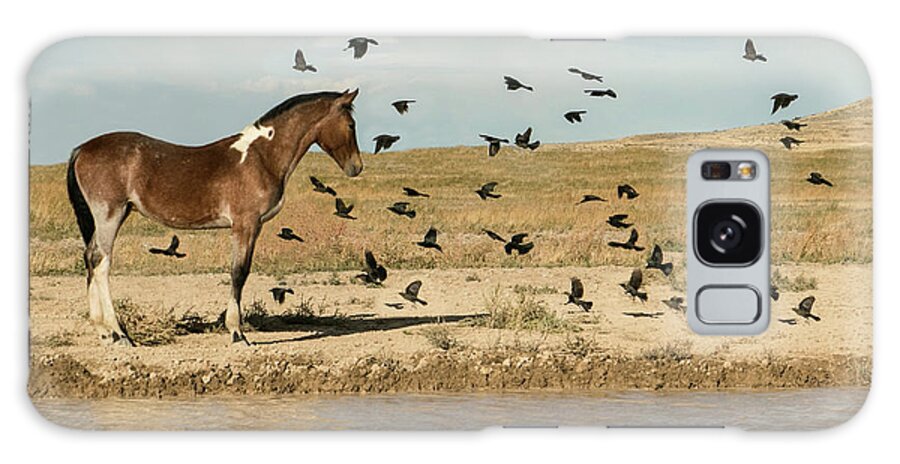 Horse Galaxy Case featuring the photograph Taking Flight 2 by Kent Keller