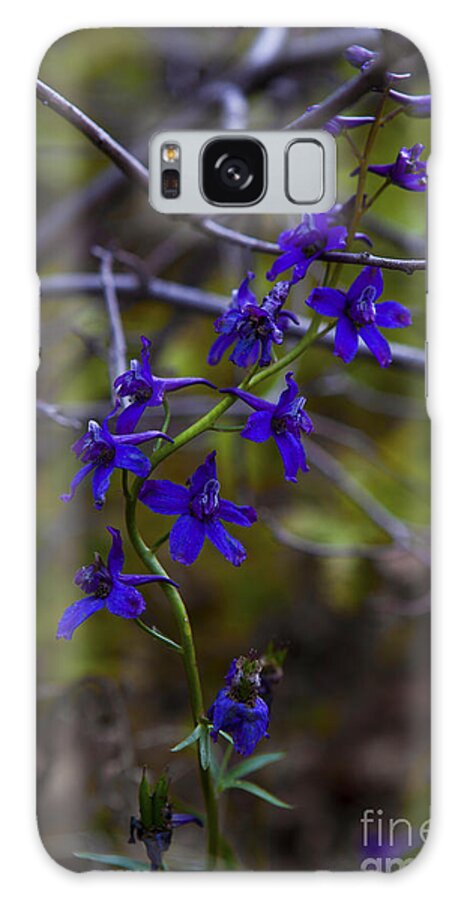 Wildflower Galaxy S8 Case featuring the photograph Tangled by Barbara Schultheis
