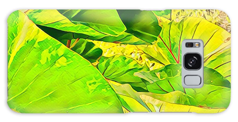 #taroleaves #taro #leaves #green #flowersofaloha Galaxy Case featuring the photograph Taro Leaves in Green by Joalene Young