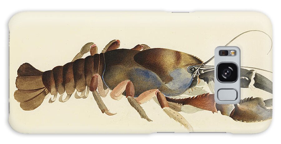 William Buelow Gould Galaxy Case featuring the drawing Tasmanian giant freshwater crayfish. Astacopsis gouldi by William Buelow Gould