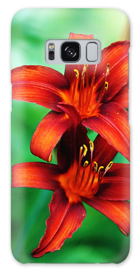 Tawny Lily Galaxy Case featuring the photograph Tawny Beauty by Debbie Oppermann