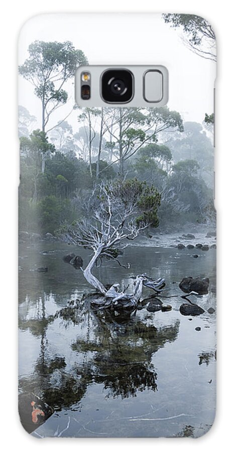 Tea Tree Galaxy Case featuring the photograph Teetrea by Anthony Davey