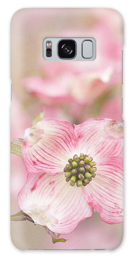 Dogwood Galaxy Case featuring the photograph Tender Light by Kim Carpentier