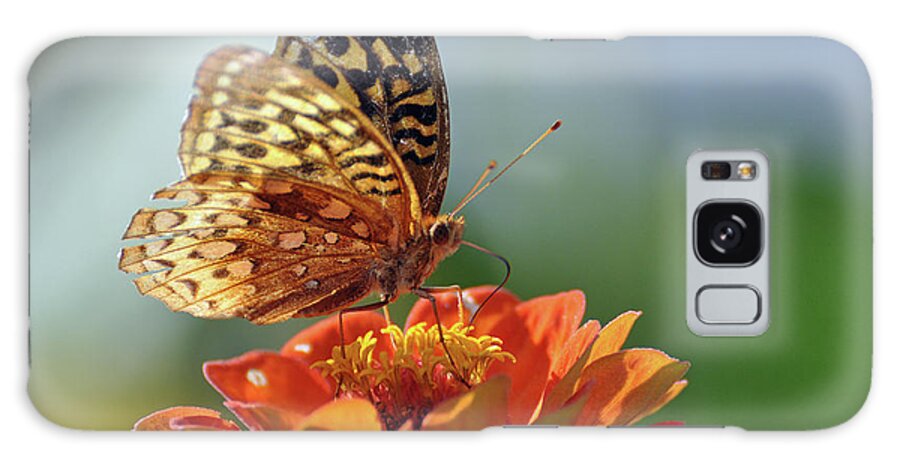 Butterfly Galaxy Case featuring the photograph Tenderness by Glenn Gordon