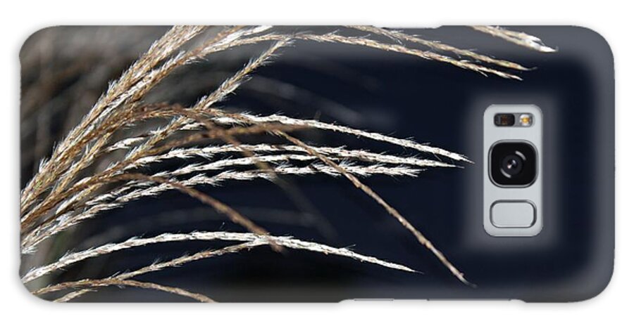 Grasses Galaxy Case featuring the photograph Texture by Margaret Hamilton