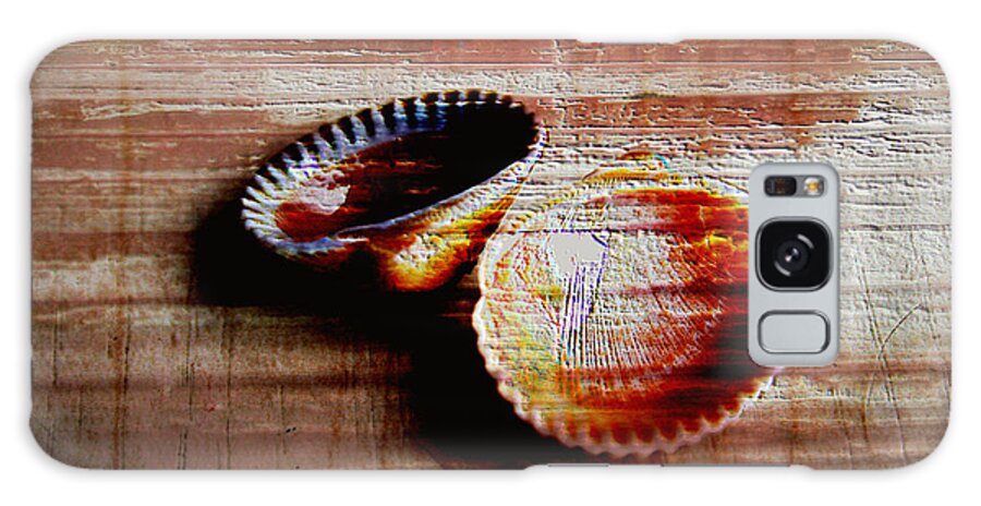 Seashells Galaxy S8 Case featuring the photograph Textured shells by Linda Sannuti