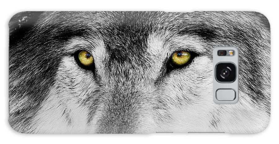 Yellow Eyed Wolf Galaxy Case featuring the photograph The Alpha Portrait by Mircea Costina Photography