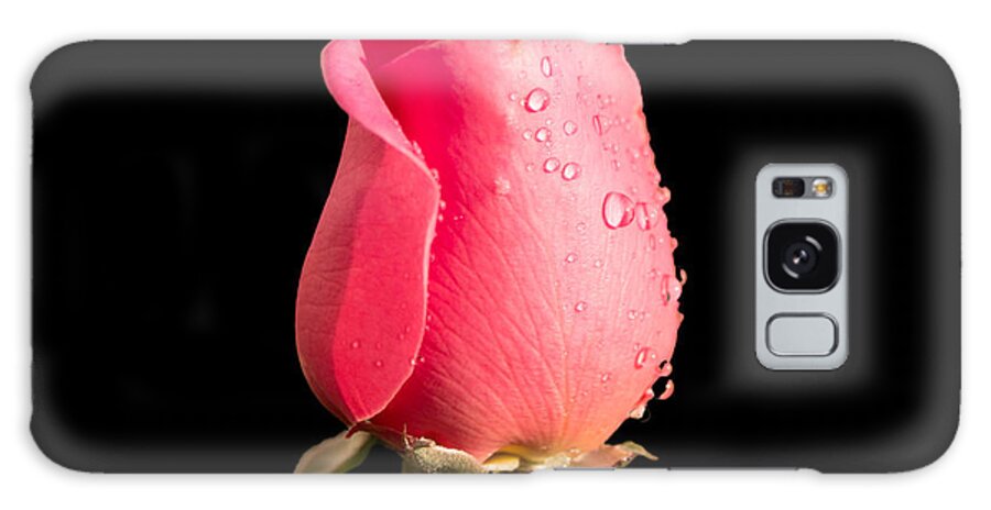 Flower Galaxy Case featuring the photograph The Beauty of a Rose by Ed Clark