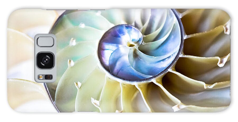 Nautilus Galaxy Case featuring the photograph The Beauty of Nautilus by Colleen Kammerer