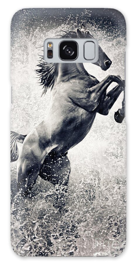 Horse Galaxy S8 Case featuring the photograph The Black Stallion Arabian Horse Reared Up by Dimitar Hristov