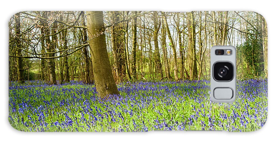 Bluebell Galaxy Case featuring the photograph The Bluebell wood in spring. by John Paul Cullen