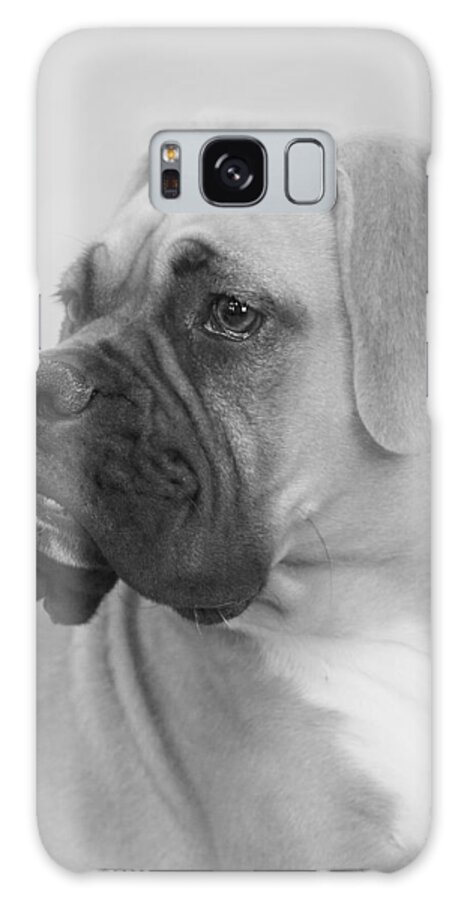 Boxer Dog Galaxy Case featuring the photograph The Boxer Dog - the Gentleman amongst dogs by Alexandra Till