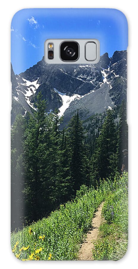 Cascades Galaxy Case featuring the photograph The Cascade Alps Trail by Tim Dussault