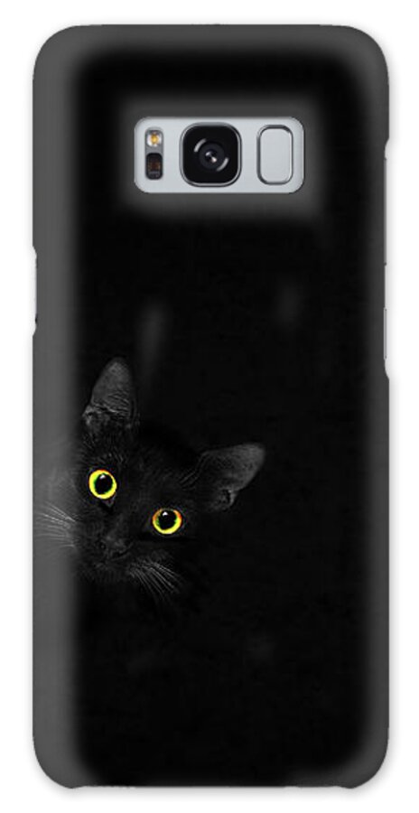 Domestic Cat Galaxy Case featuring the photograph The Cat That Walked By Himself by Iryna Goodall