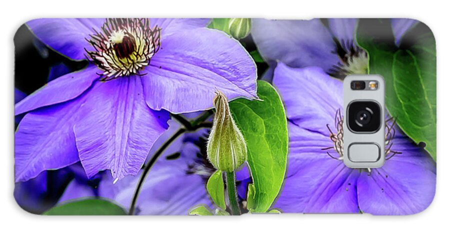 Flower Galaxy Case featuring the digital art The Clematis Bud by Ed Stines