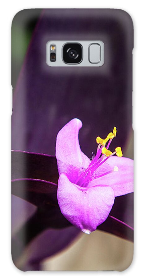 Flower Galaxy Case featuring the photograph The Color Purple by Stewart Helberg