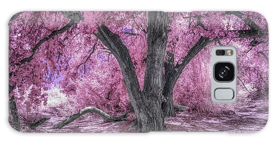 New Mexico Galaxy Case featuring the photograph The Cottonwood in the Bosque by Michael McKenney