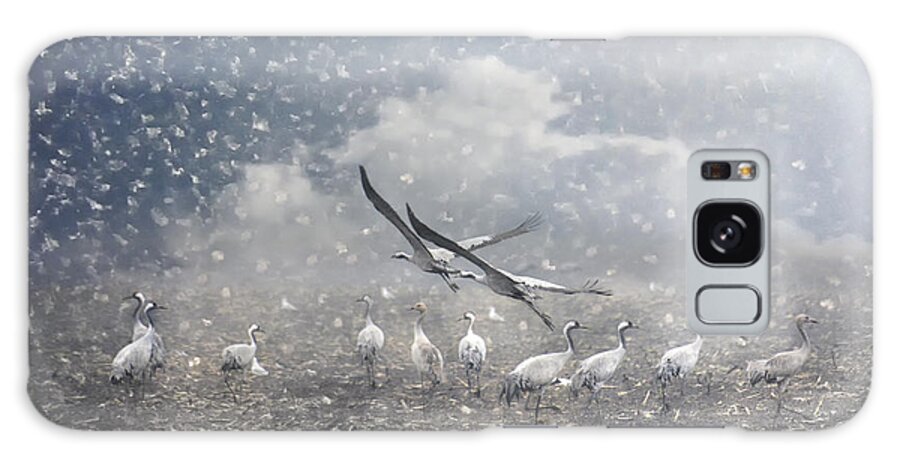 Animals Galaxy Case featuring the photograph the cranes of Fischland by Joachim G Pinkawa