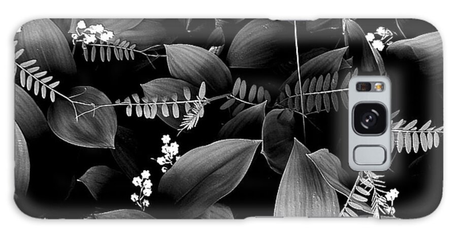 Lily Of The Valley Black And White Galaxy Case featuring the photograph The Crowd by Elfriede Fulda