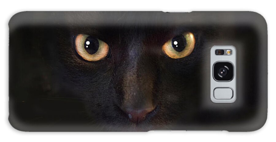 Dark Galaxy Case featuring the photograph The Dark Cat by Gina Dsgn