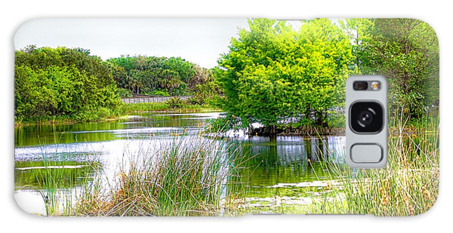 Florida Wetlands Galaxy Case featuring the photograph The Florida Wetlands by Rene Triay FineArt Photos