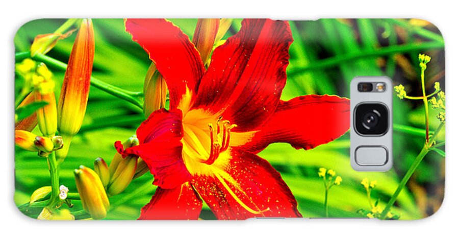 Flowers Galaxy Case featuring the photograph The Flower by Richard Denyer